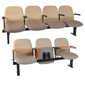 Auditorium Seating