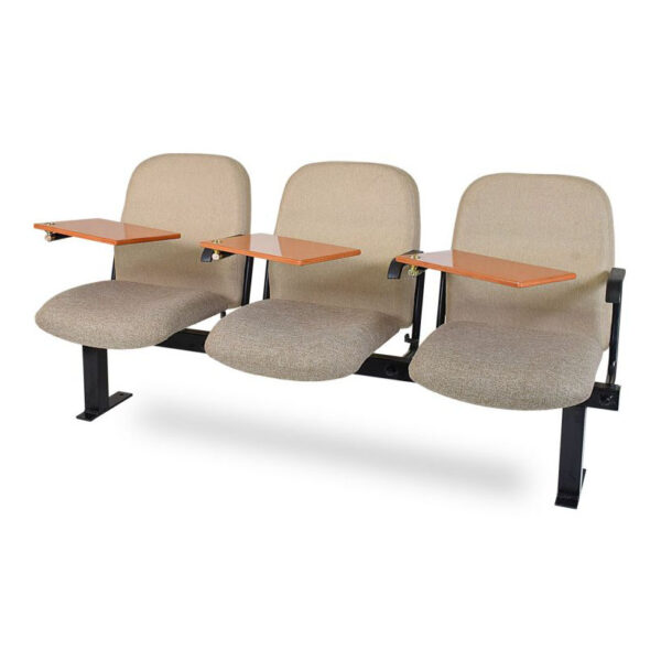 Auditorium Seating - Image 2